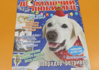 Домашний любимец 1/25